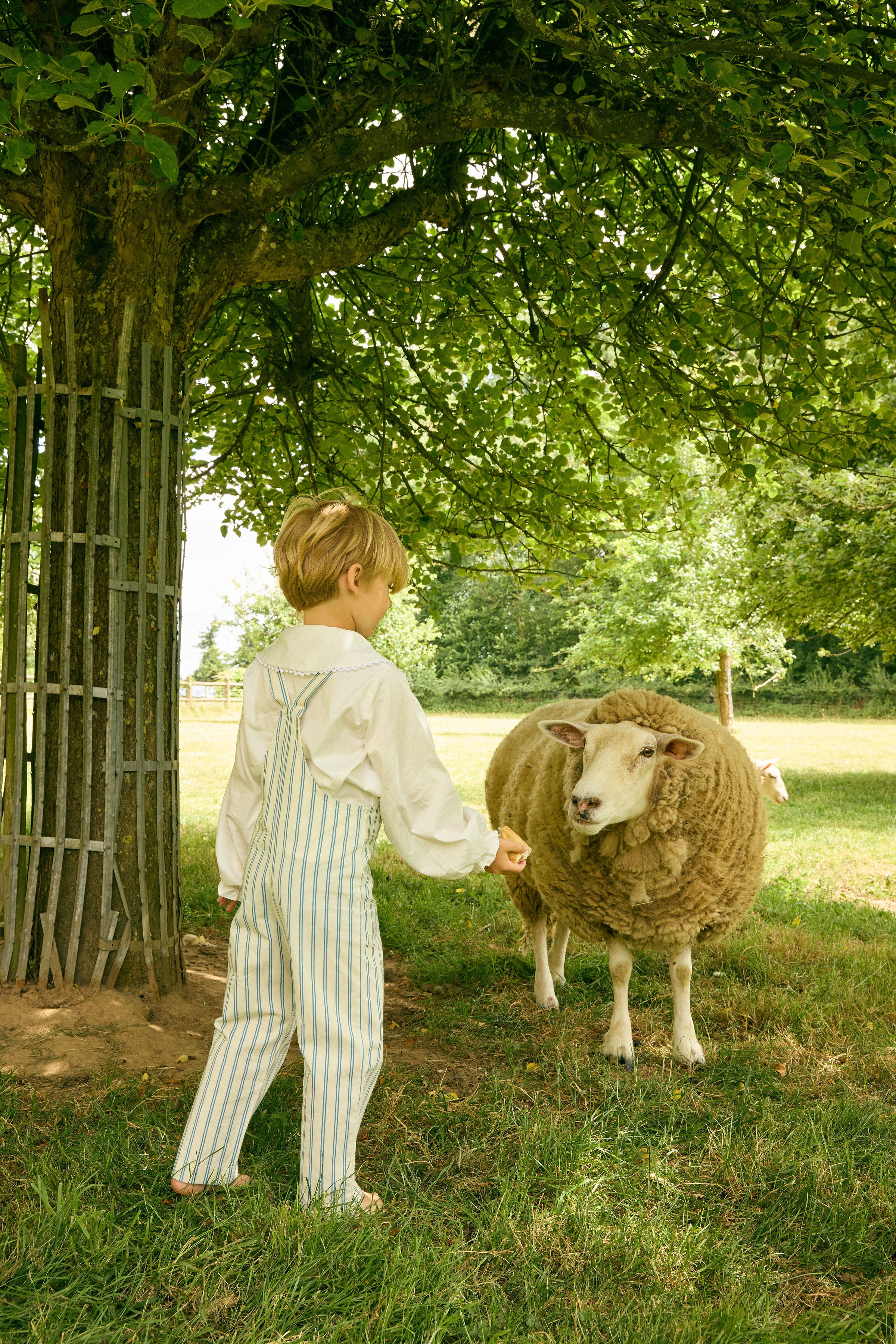 Nicolas Overall