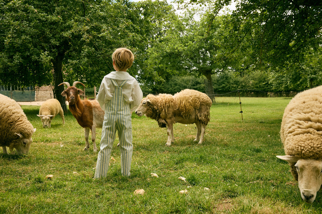 Nicolas Overall
