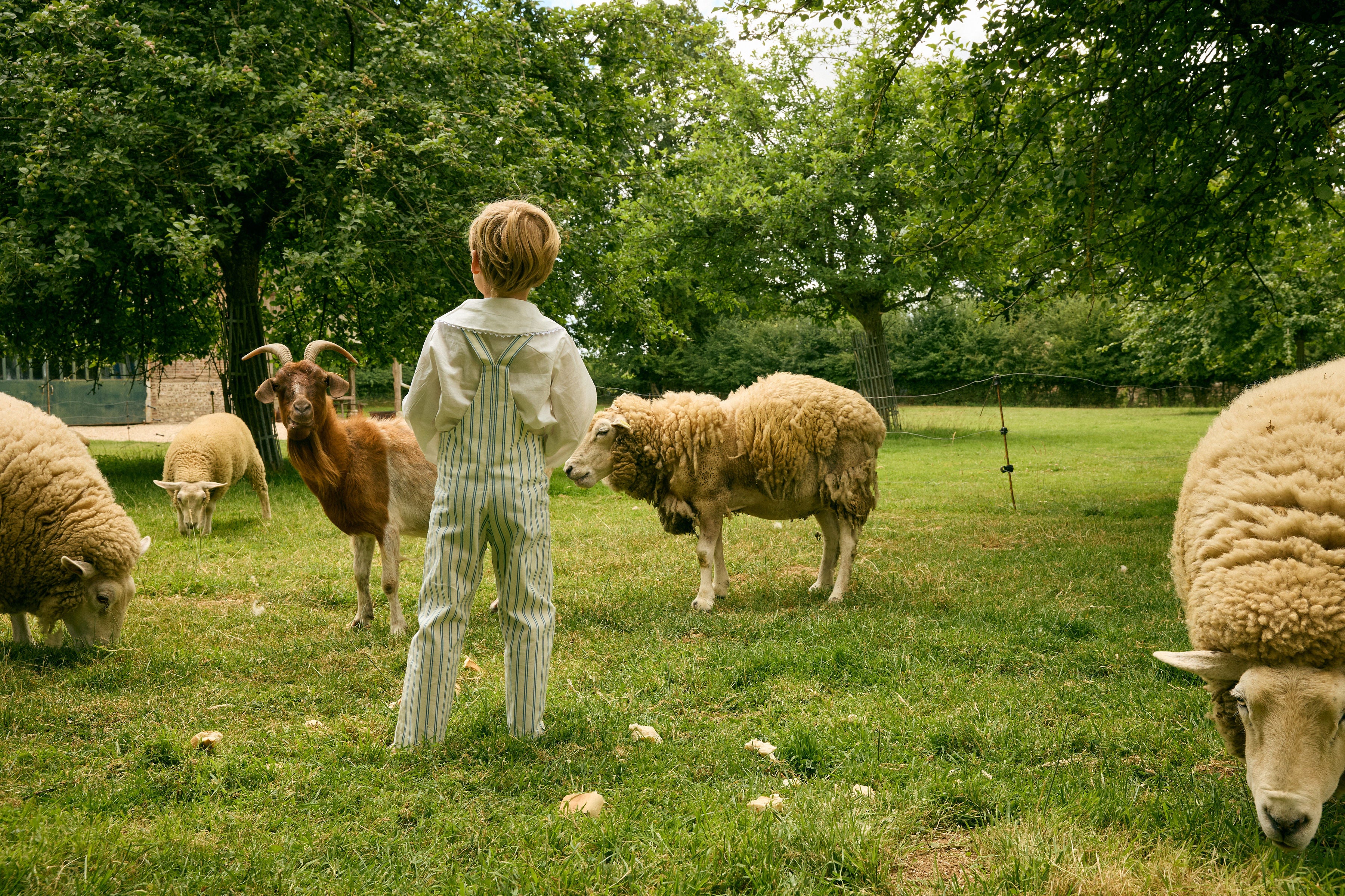 Nicolas Overall