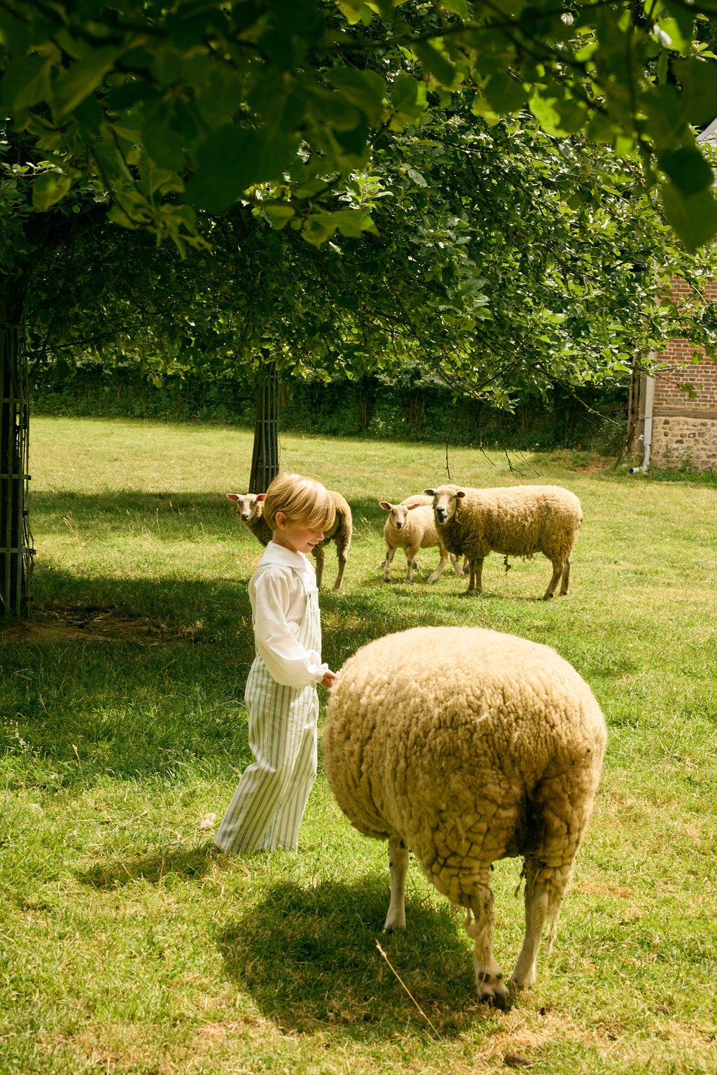 Nicolas Overall