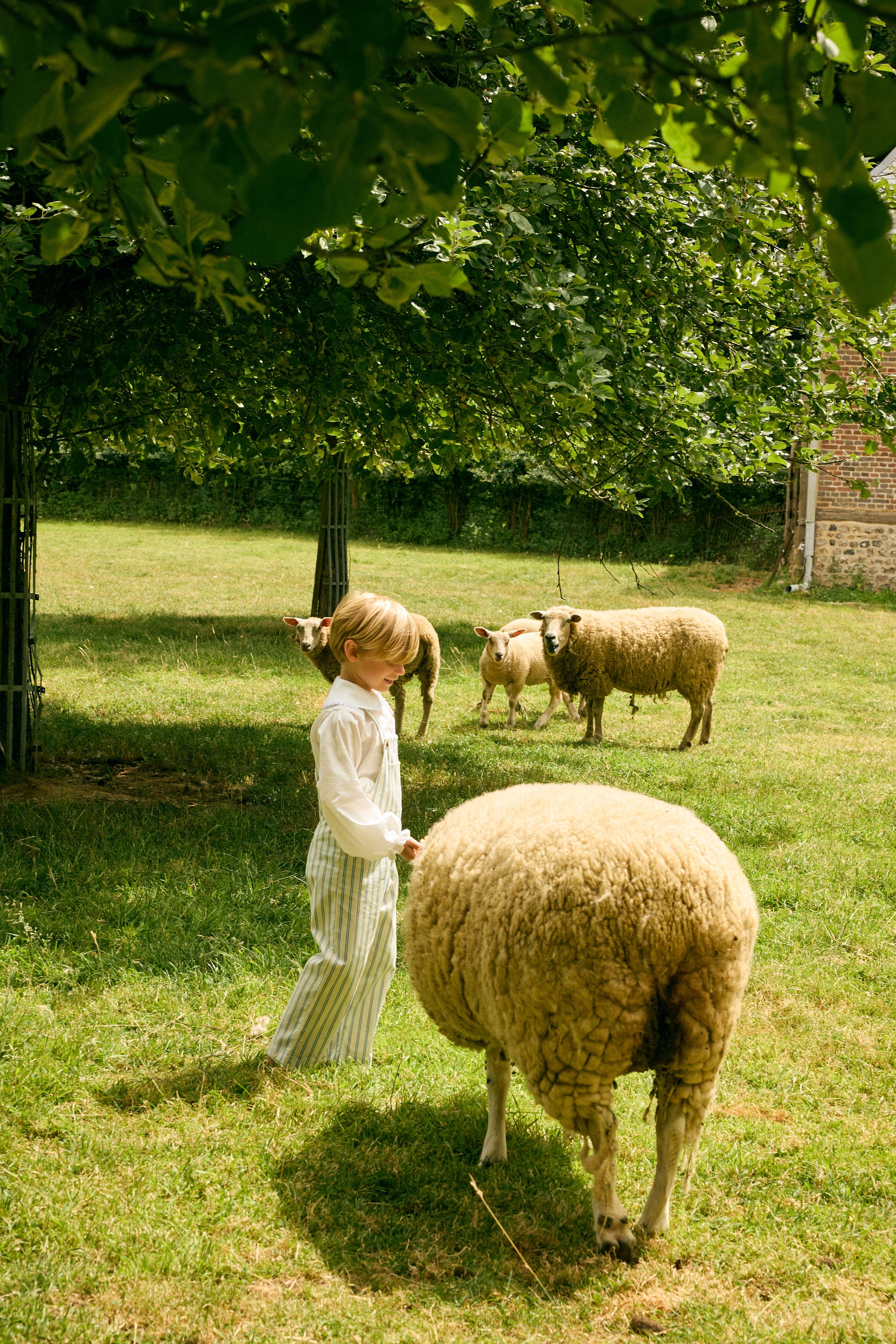 Nicolas Overall